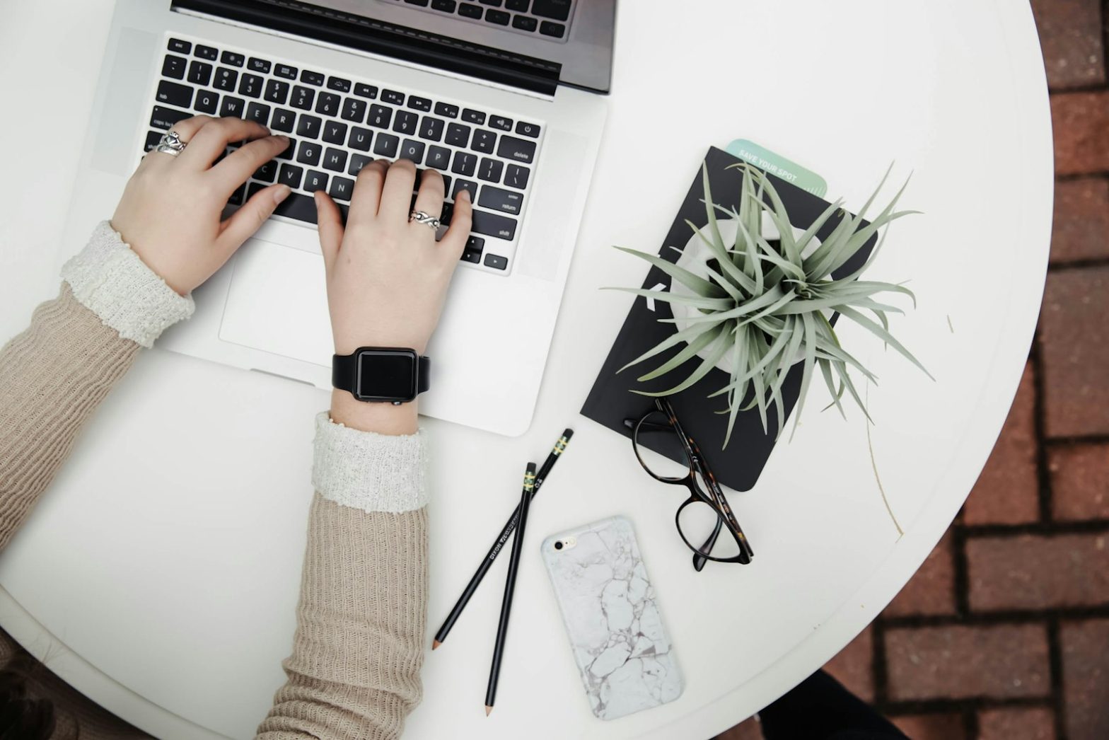 Hands typing on a laptop beside a small plant
